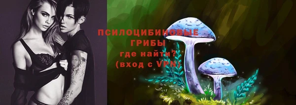 первитин Надым