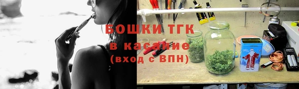 винт Анива