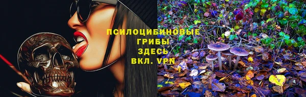 первитин Надым